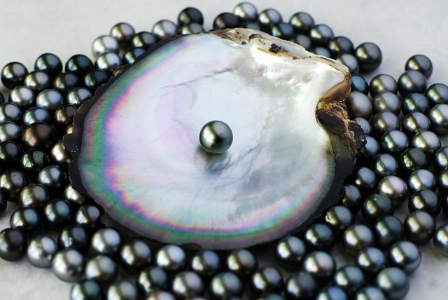 Perly jsou bohatstvím Filipín, stejně jako je najdeme třeba ve Francouzské Polynésii a jinde ve světě.