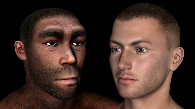 Homo naledi žil ve stejné době jako raný Homo sapiens a patřil mezi chytřejší předky moderních lidí.