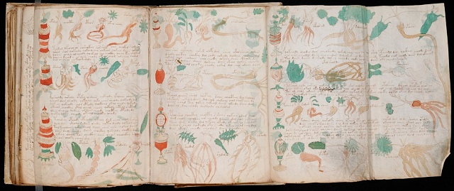 Voynichuv (vojničův) rukopis - ukázka rukopisu s ilustracemi