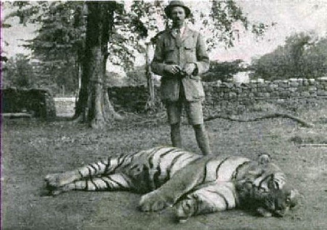 Jim Corbett a lidožravou tygřicí