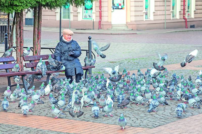 Rozdíl mezi starobními důchody mužů a žen za rok narostl o další dvě stokoruny.