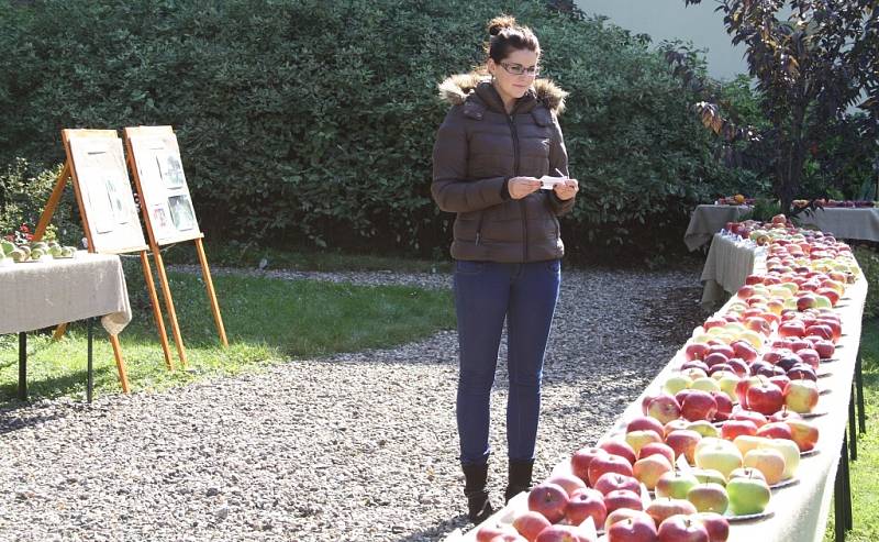 Karolína Šulganová si prohlíží vystavené ovoce na zahradě Křížovy vily