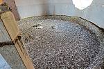 Hromady holubího trusu v žatecké synagoze