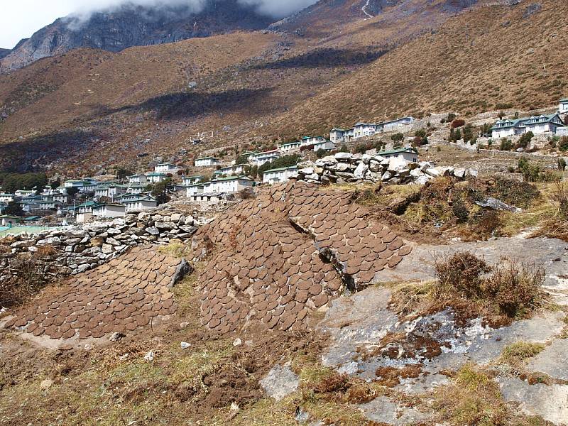 Šerpská vesnička Khumjungu nad Namche Bazaar, oblíbený cíl aklimatizačních výletů. Nedaleko je buddhistický klášter s údajným yettiho skalpem. Zajímavý je ale i systém, kterým místní suší jačí trus a dělají tím z něj topivo.