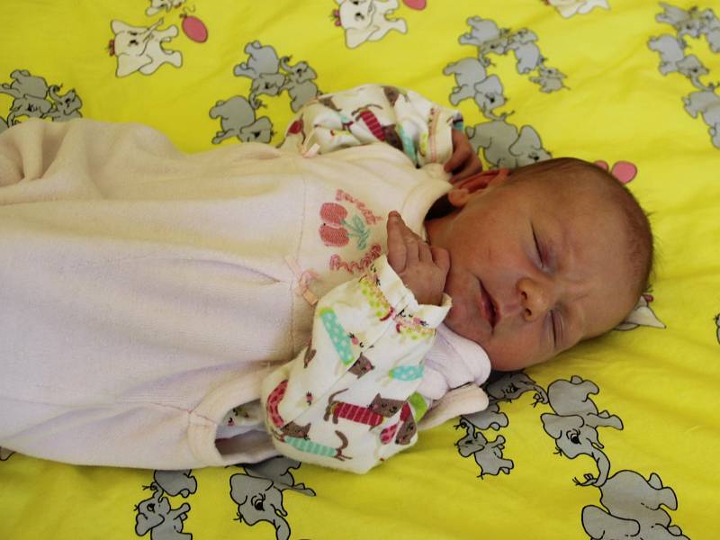 Aneta Jedličková se narodila 9. února 2019 ve 22.54 hodin rodičům Lence Eichlerové a Marku Jedličkovi ze Skytal. Vážila 3140 g a měřila 50 cm.