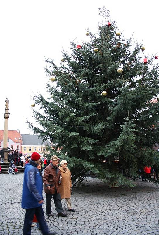 Vánoční strom na lounském Mírovém náměstí