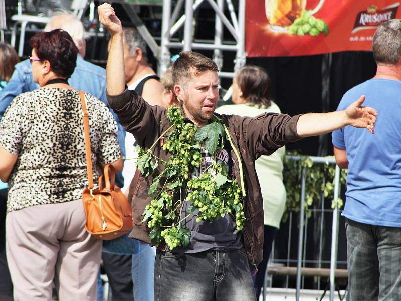 Žatecká Dočesná 2016