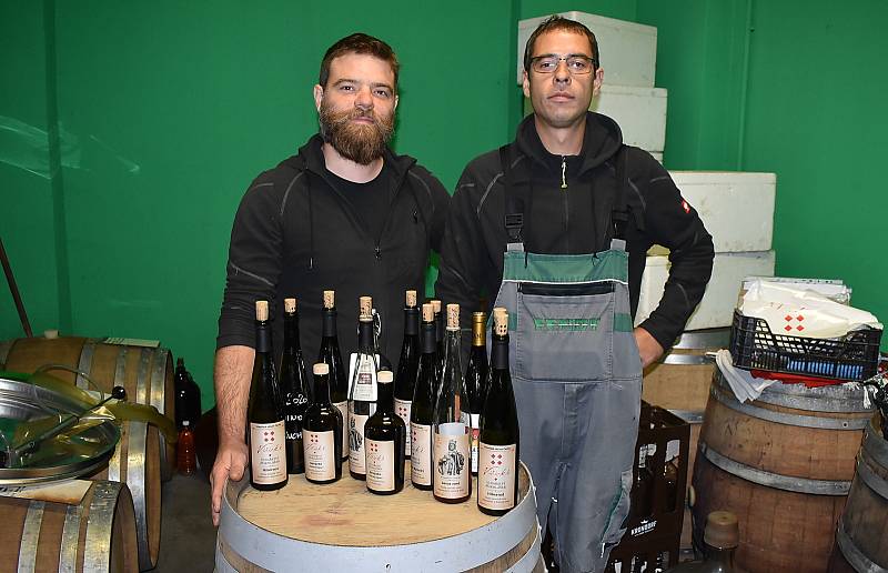 Jakub a Robert Mikuláškovi se před deseti lety přestěhovali z Karlových Varů do Vičic pod Nechranickou přehradou. Jejich rodinné vinařství se postupně rozrostlo, letos připraví rekordních šest tisíc litrů burčáku. Klasického vína ještě víc.