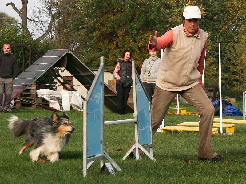 Vladimíra Komůrková při závodech agility O podzimní kvítek v Lounech