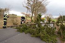 Hasiči odstraňovali padlé stromy u Deštnice a Třeskonic.