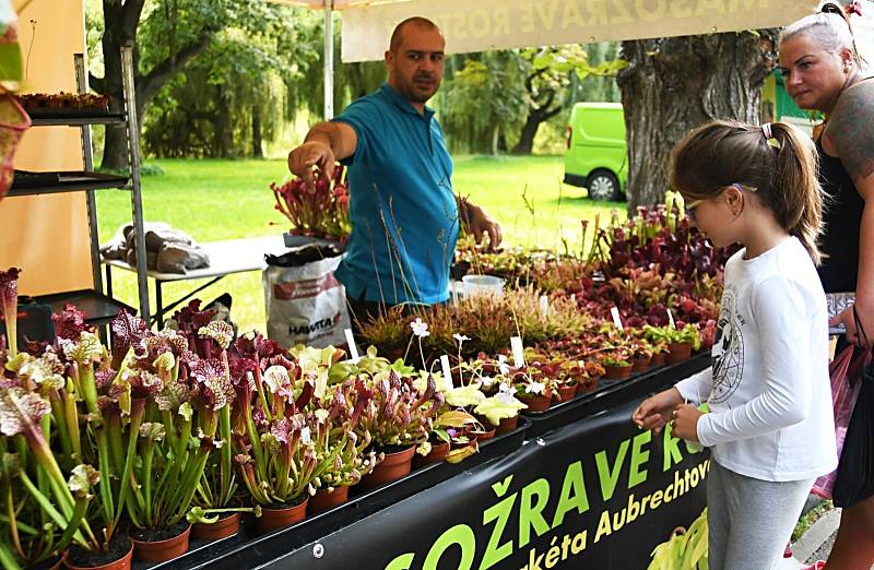 28. ročník veletrhu Dům na výstavišti v Lounech