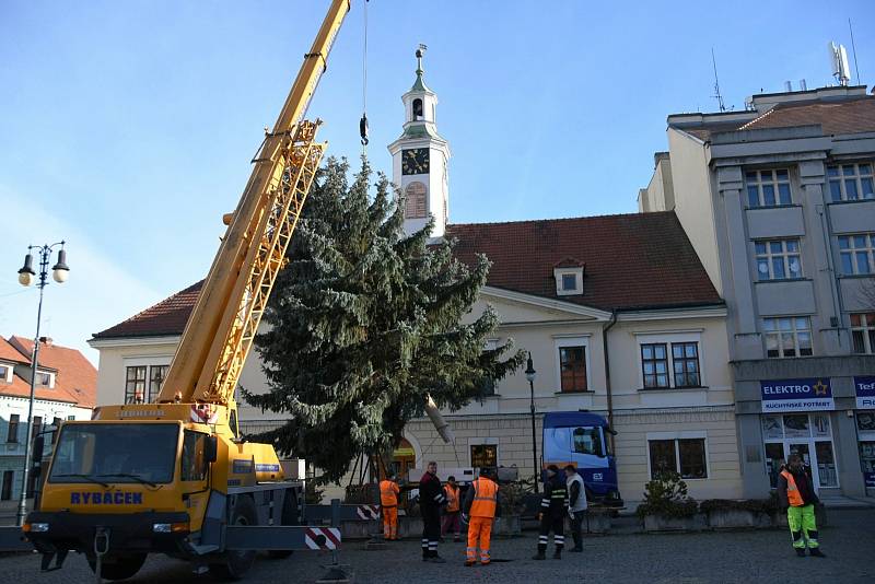 Na náměstí do Loun přivezli v úterý vánoční strom.