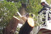 Hasiči odstraňují nebezpečné větve na zámečku v Měcholupech