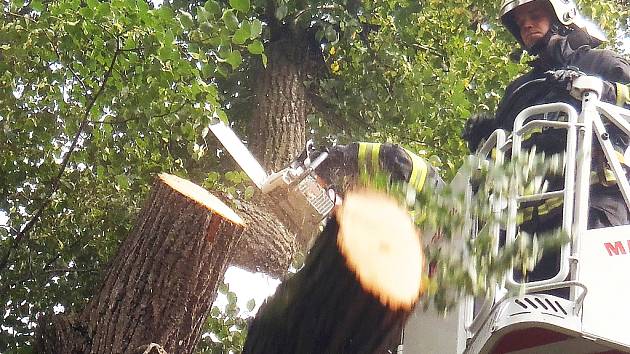 Hasiči odstraňují nebezpečné větve na zámečku v Měcholupech