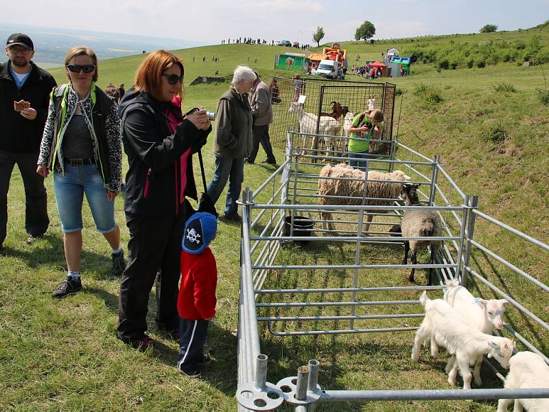 Na Rané si lidé mohli prohlédnout různá plemena ovcí i koz