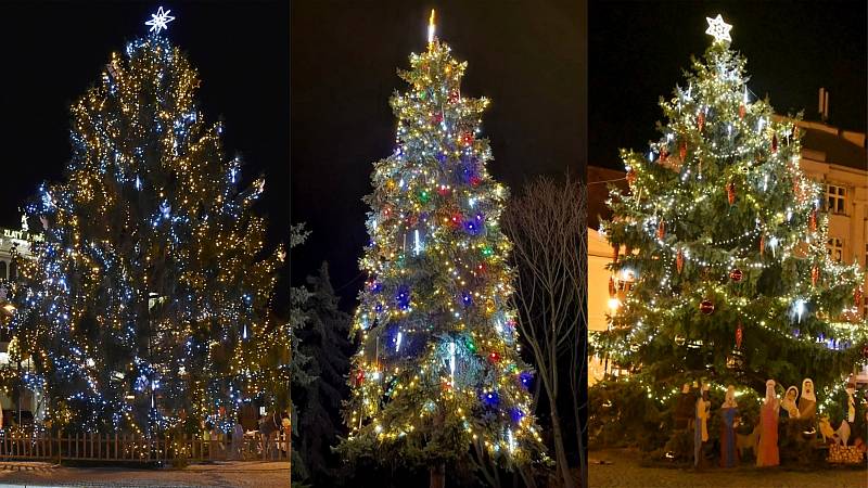 Hledáme nejkrásnější vánoční strom Lounska a Žatecka