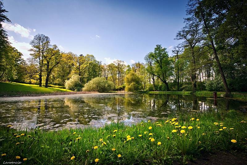 Zámecký park v Krásném Dvoře.