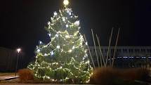 Vánoční strom na náměstí Poperinge v Žatci