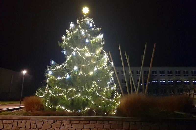 Vánoční strom na náměstí Poperinge v Žatci