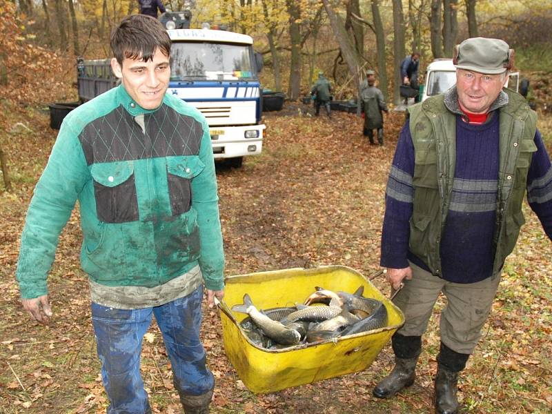 Josef Motyka (vlevo) a Jiří Geisler odnášejí k nákladnímu autu amury, které včera vylovili z rybníka u Nové Vsi poblíž Podbořanského Rohozce.