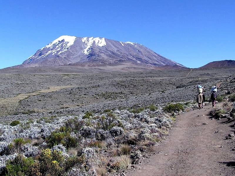 Kilimandžáro (5895 m n. m.), vrchol Afriky