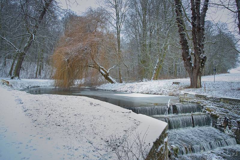 Zasněžený a zamrzlý zámecký park v Krásném Dvoře na Podbořansku.