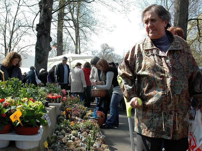 Výstava Dům a zahrada v Lounech