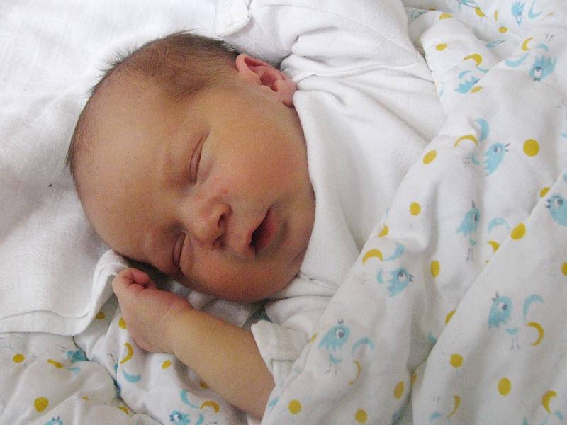 Mamince Veronice Dormiševové z Holedeče se 17. května 2012 ve 13.36 h narodil syn Martin Dormišev. Vážil 3 kg a měřil 50 cm.