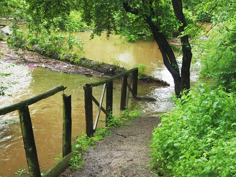 Stezka v lounské ulici Pod Šancemi už nevede podél řeky Ohře, ale přímo do ní. Záběr je pořízen v pondělí 3. 6. po 15. hodině v části u Jiráskova mlýna