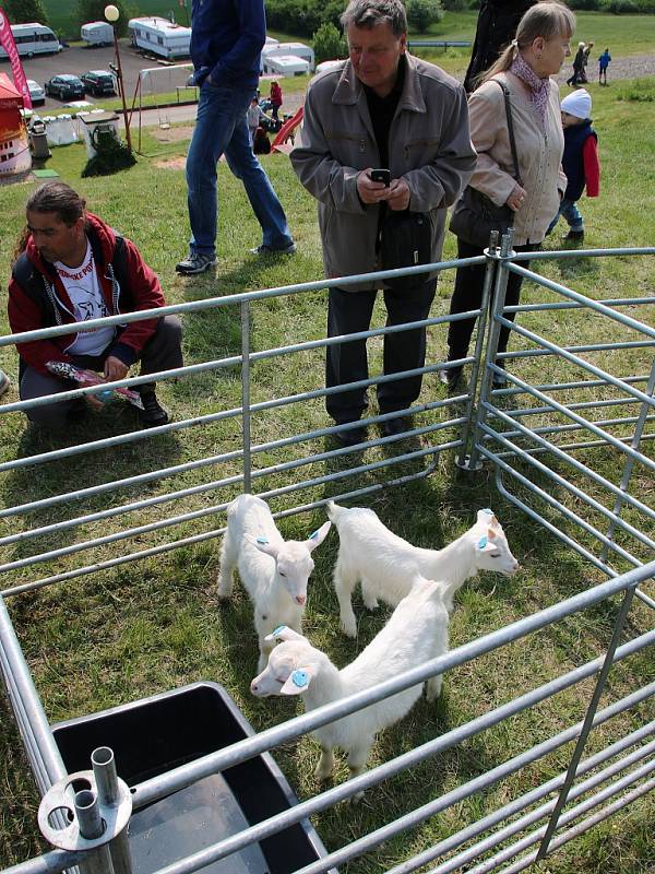 Na Rané si lidé mohli prohlédnout různá plemena ovcí i koz