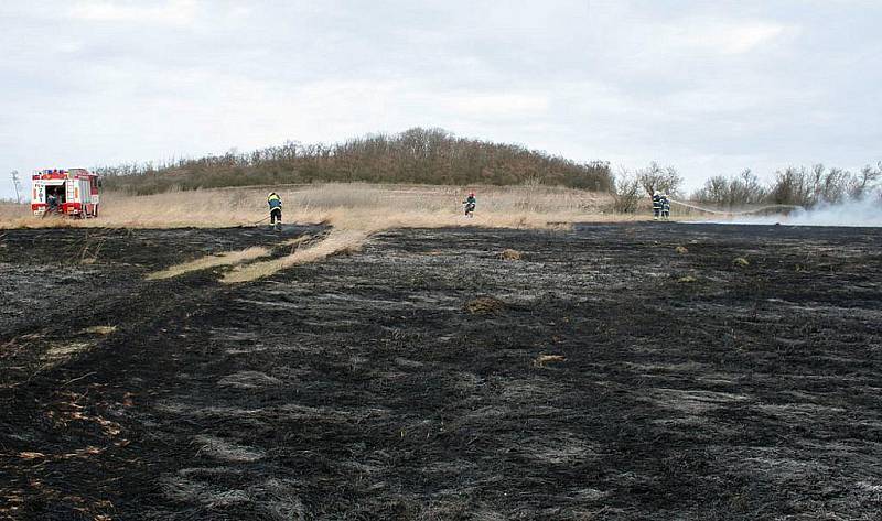 Požár suché trávy a černé skládky nedaleko Vrbky