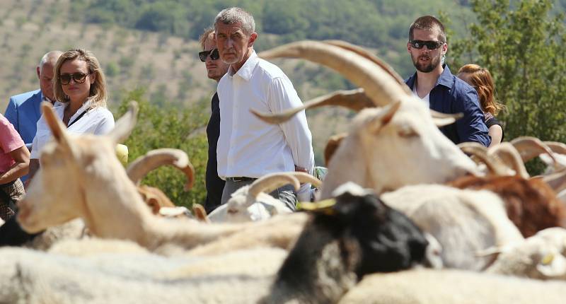 Premiér Andrej Babiš a ministr životního prostření Richard Brabec navštívili České středohoří. Odpoledne na kopci Milá u Rané společně vypustili do volné přírody několik syslů