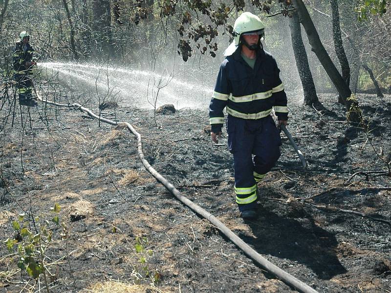Hasiči likvidují požár pole a dvou hektarů lesa mezi Měcholupy a Sádkem