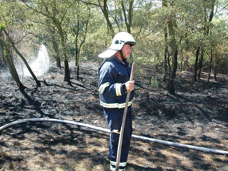 Hasiči likvidují požár pole a dvou hektarů lesa mezi Měcholupy a Sádkem