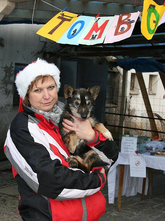 Dobrovolnice Sabina Králová s jedním ze psů, kteří jsou umístěni v útulku v Jimlíně.