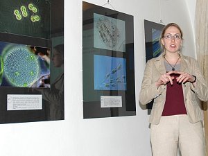 Anna Bucharová hovoří o expozici.