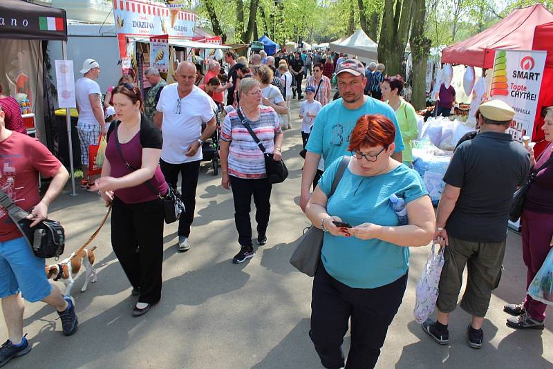 Výstava Dům a zahrada v Lounech