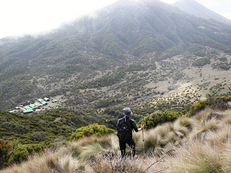 Cesta na Mount Meru v Tanzanii