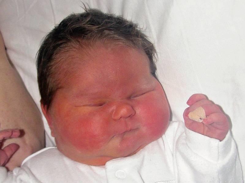 Sofie Řeháková se narodila 14. listopadu 2017 ve 3.28 hodin mamince Adéle Řehákové ze Staňkovic. Vážila 3820 g a měřila 49 cm.