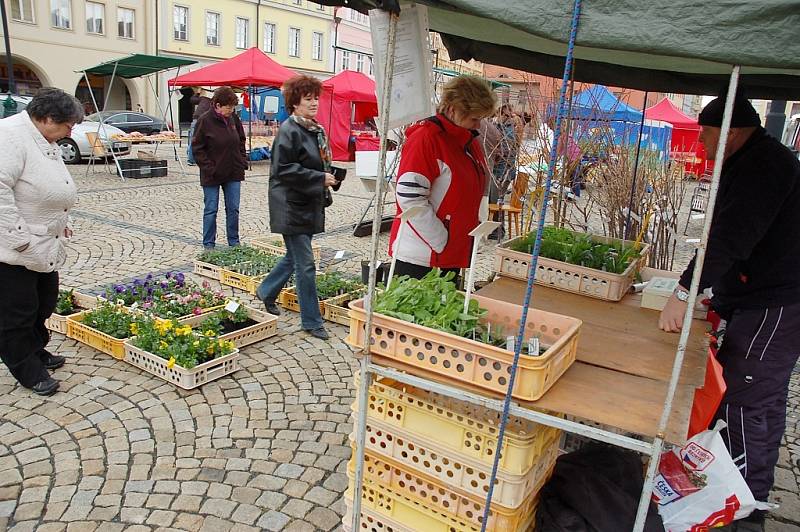 Farmářské trhy v Žatci.