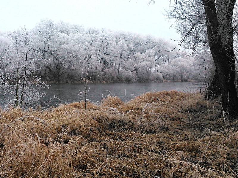 Krajina s poetickou jinovatkou v okolí Ohře na Žatecku.