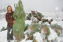 Josef Rogl připravuje borovičky v Třeskonicích krátce po čtvrtečním sněžení