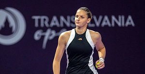 Lounská tenistka Karolína Plíšková si v semifinále poradila s Britkou Harriet Dartovou, kterou porazila dvakrát 6:3. Foto: twitter.com
