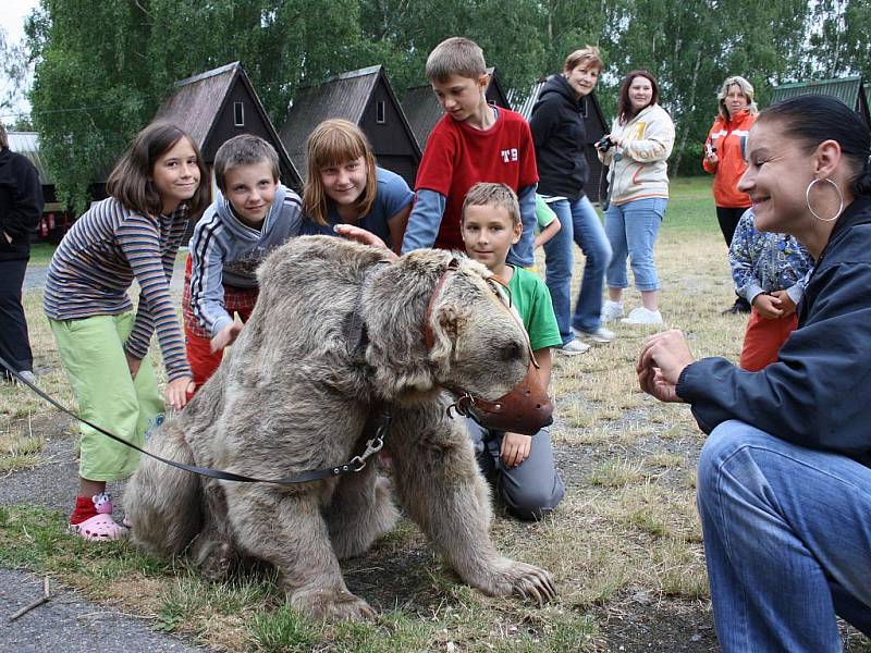 Chlupáče Jerryho si mohl každý táborník pohladit