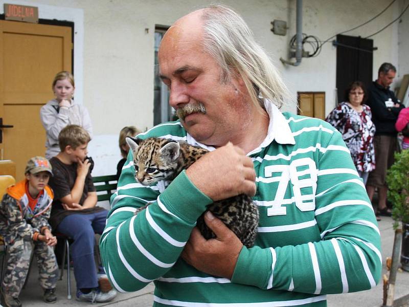 Jaroslav Káňa přivezl také roztomilé koťátko ocelota