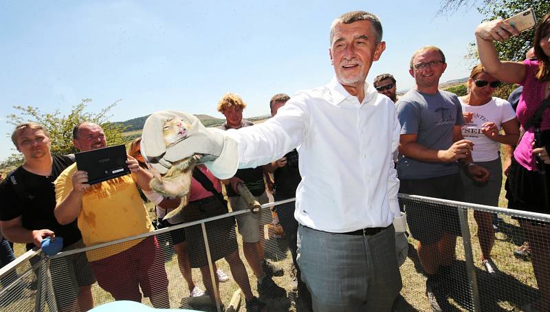 Premiér Andrej Babiš a ministr životního prostření Richard Brabec navštívili České středohoří. Odpoledne na kopci Milá u Rané společně vypustili do volné přírody několik syslů