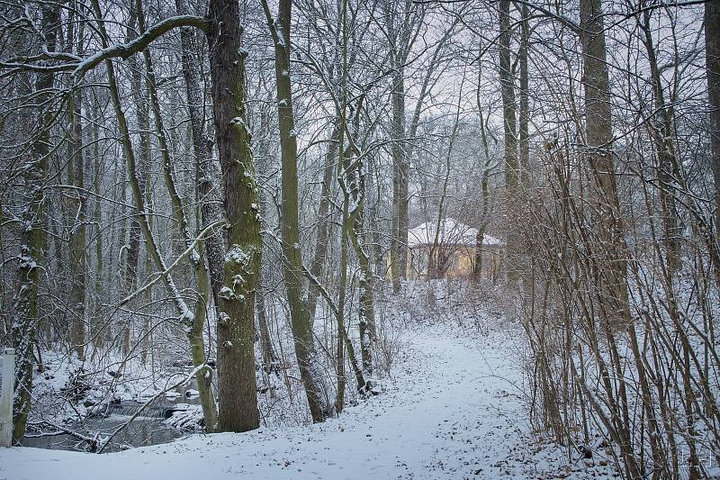 Zasněžený a zamrzlý zámecký park v Krásném Dvoře na Podbořansku.