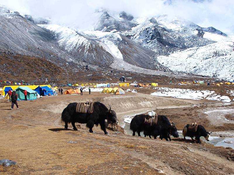 Základní tábor (4576 m.n.m.) pod téměř sedmitisícovou horou Ama Dablam.