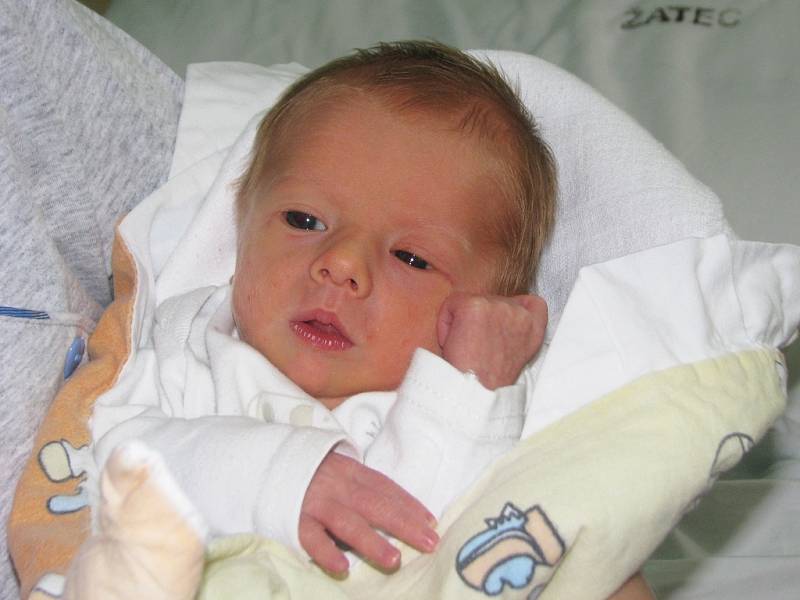 Mamince Lucii Lemonové z Rakovníka se v žatecké porodnici 21. června 2013 v 11.20 hodin narodil syn Denis Lemon. Vážil 2520 gramů a měřil 47 centimetrů.