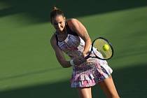 Lounská rodačka Karolína Plíšková se chystá na vykročení do Wimbledonu.